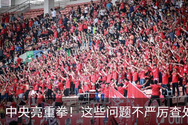 中央亮重拳！这些问题不严厉查处的，直接追究地方领导责任！