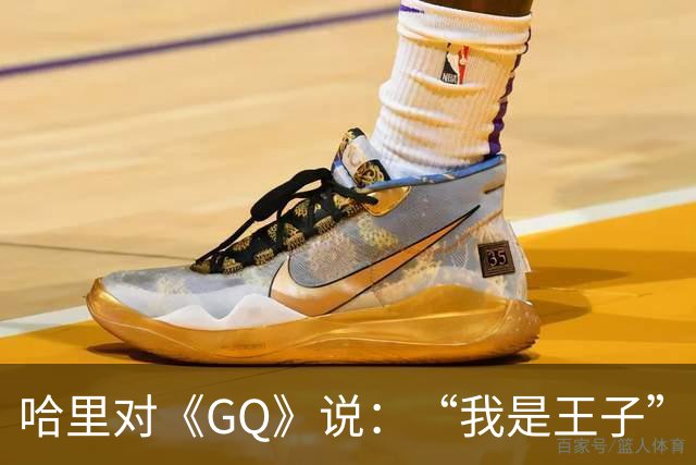 哈里对《GQ》说：“我是王子”！专家大笑：威廉从来不提！