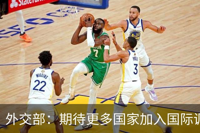 外交部：期待更多国家加入国际调解院