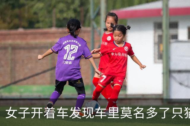 女子开着车发现车里莫名多了只猫，最后找到一家四口，人都懵了：你们一家什么时候搬进来的？