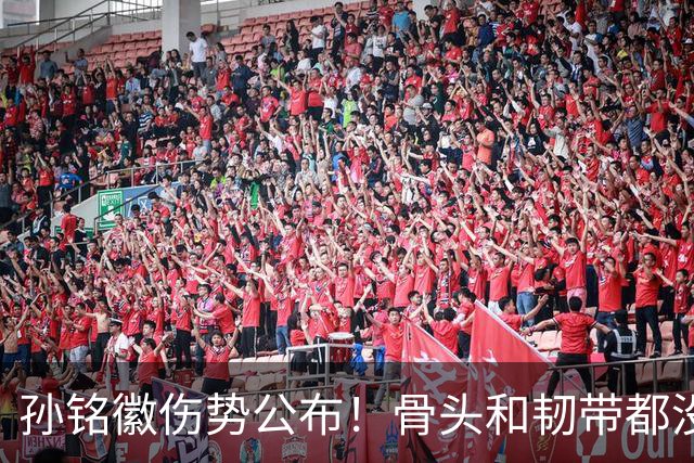 孙铭徽伤势公布！骨头和韧带都没问题，正常崴脚，恐一阶段报销