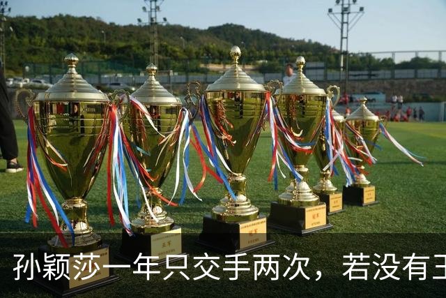 孙颖莎一年只交手两次，若没有王曼昱，张本美和早成世界第一了