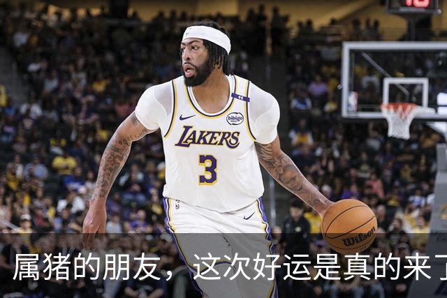 属猪的朋友，这次好运是真的来了