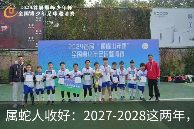 属蛇人收好：2027-2028这两年，日子要换写法了