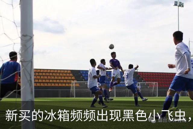 新买的冰箱频频出现黑色小飞虫，市民投诉称“冰箱门太松”要求退货，商家回应：之前换过一次机，卖了50多台只有他们家出现问题