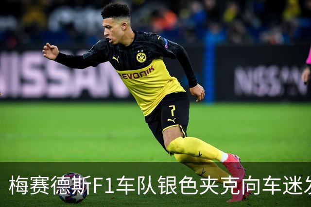 梅赛德斯F1车队银色夹克向车迷发售，两个版本可选