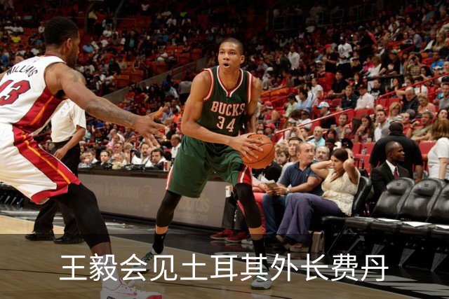 王毅会见土耳其外长费丹