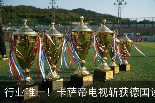 行业唯一！卡萨帝电视斩获德国设计奖金奖