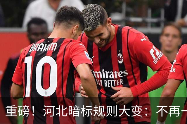 重磅！河北暗标规则大变：不再一踩形式坑就直接废标！