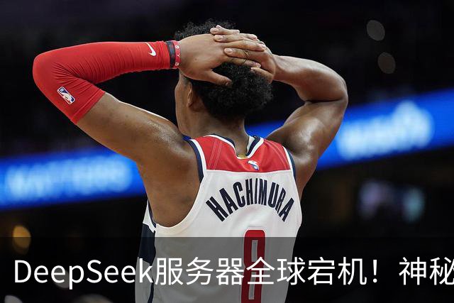DeepSeek服务器全球宕机！神秘Harness账号同时现身